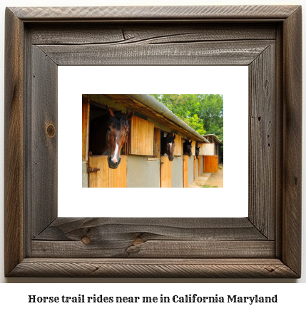 horse trail rides near me in California, Maryland